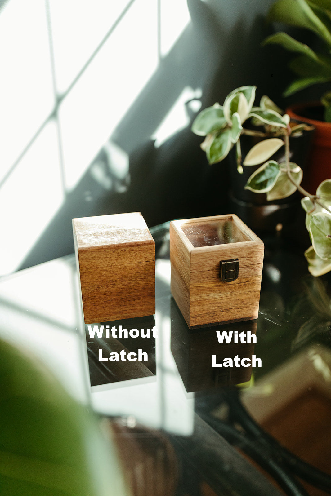 Acacia Glass Lid Watch Box - Single Compartment Watch Box - Watch Storage -Watch Organizer - Watch Gift Box - Custom Watch Box