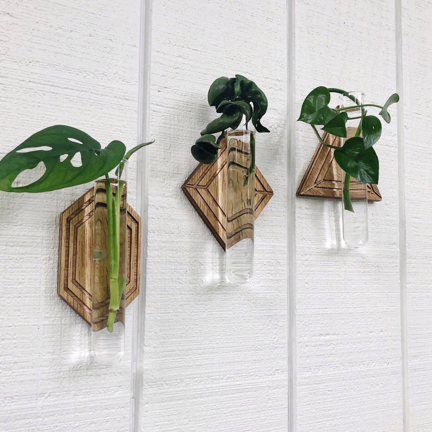 Magnetic Propagation Wall Hanging