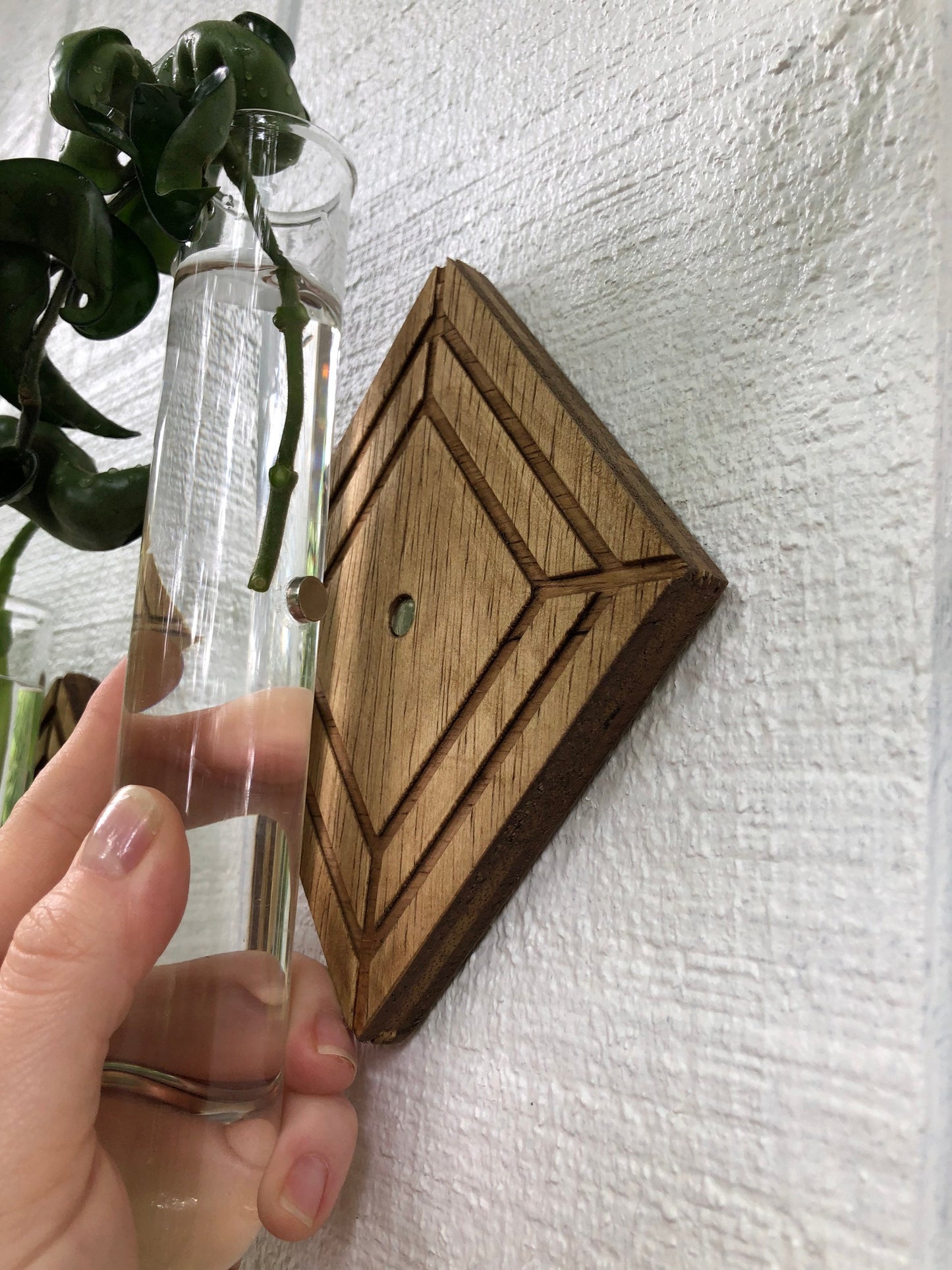 Magnetic Propagation Wall Hanging
