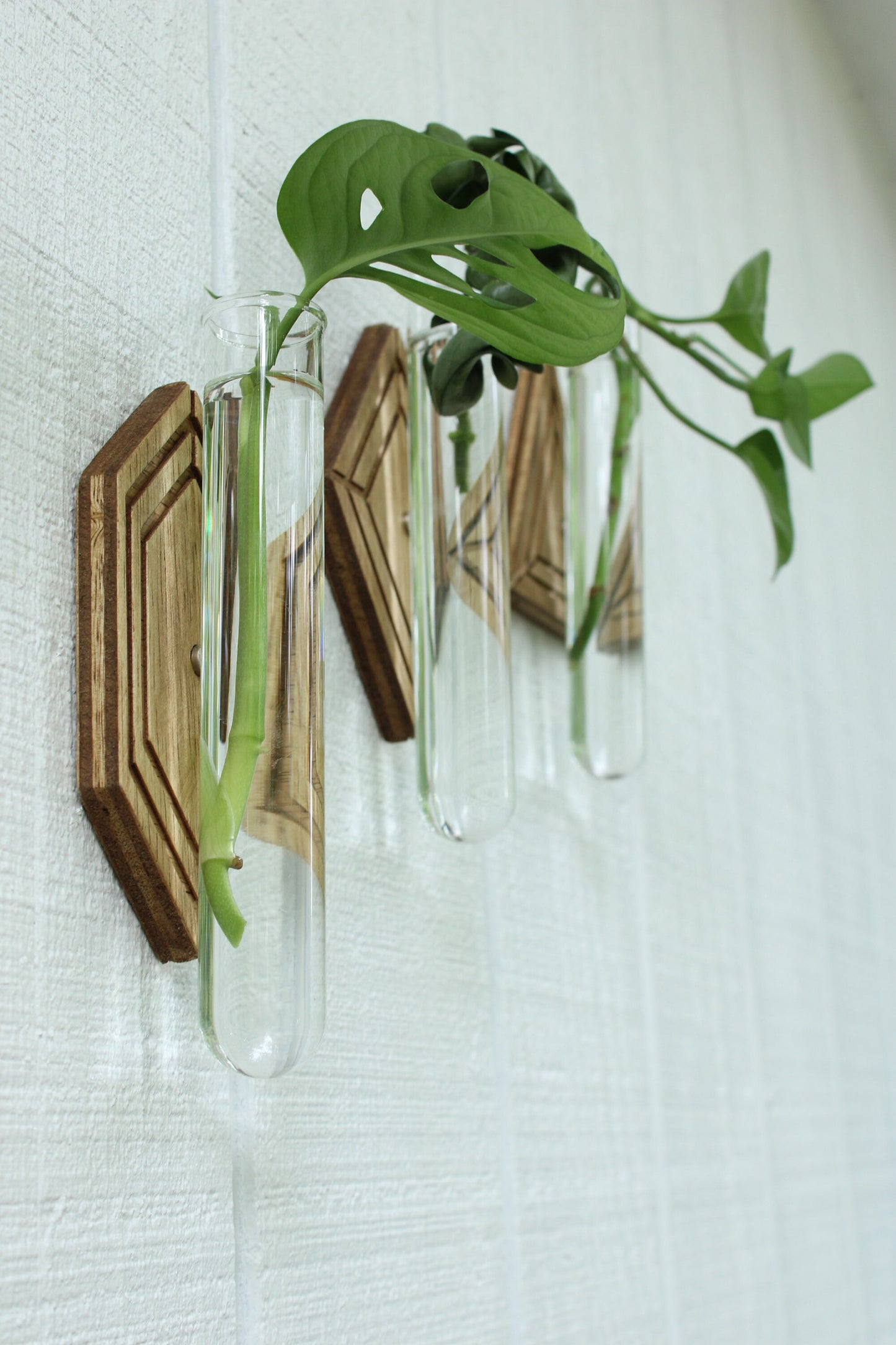 Magnetic Propagation Wall Hanging