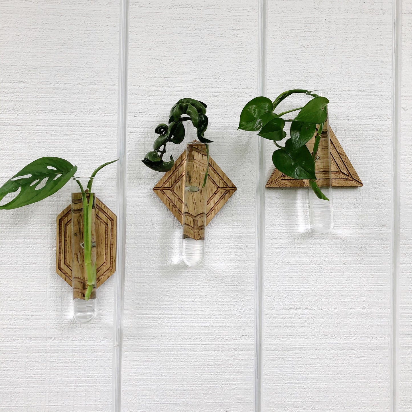 Magnetic Propagation Wall Hanging