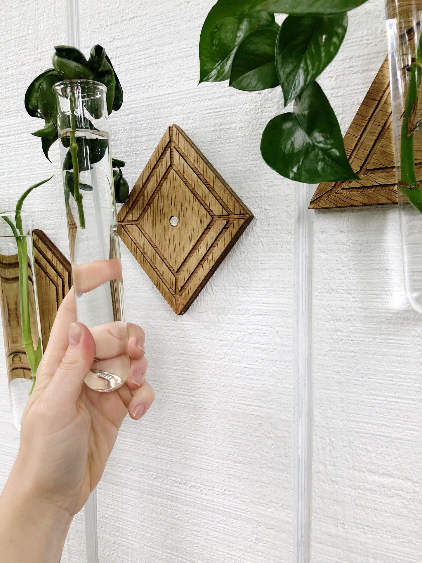Magnetic Propagation Wall Hanging