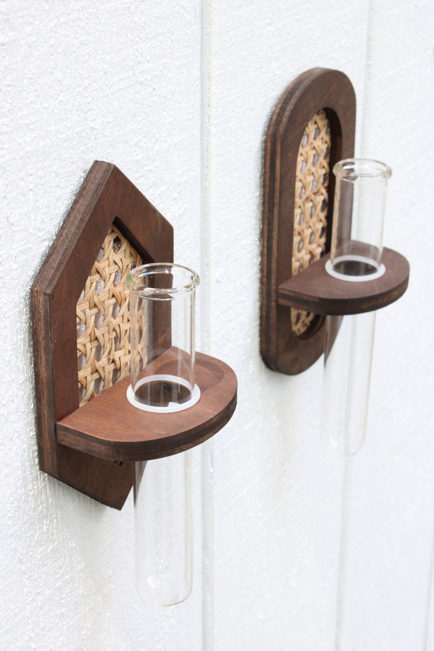 Rattan Propagation Wall Hanging