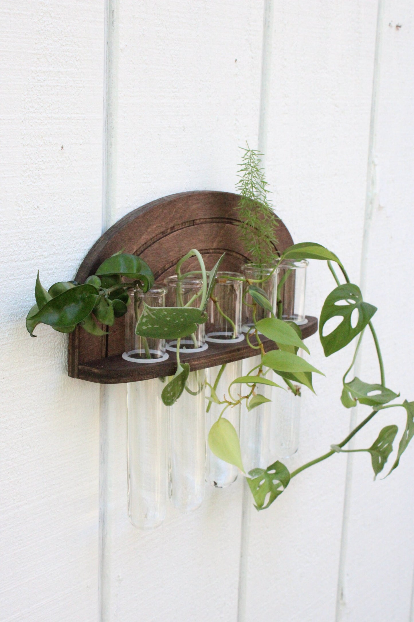 Rainbow Propagation Wall Hanging