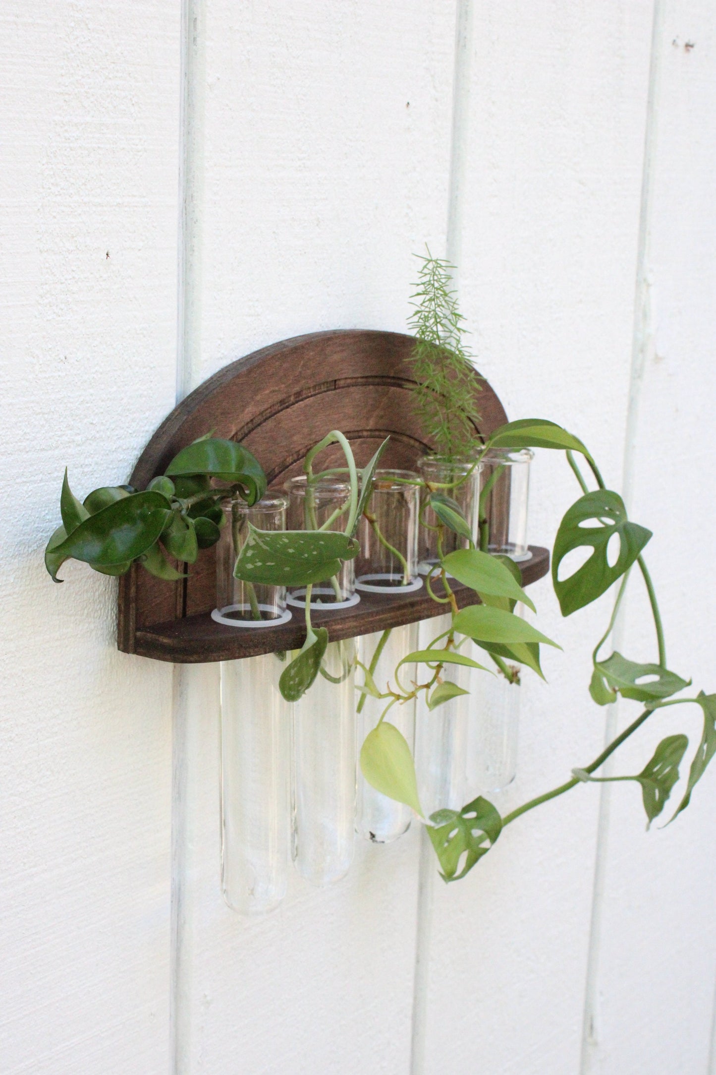 Rainbow Propagation Wall Hanging