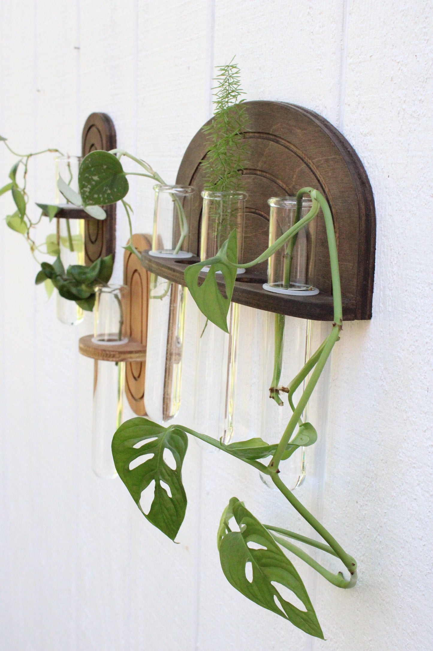 Rainbow Propagation Wall Hanging