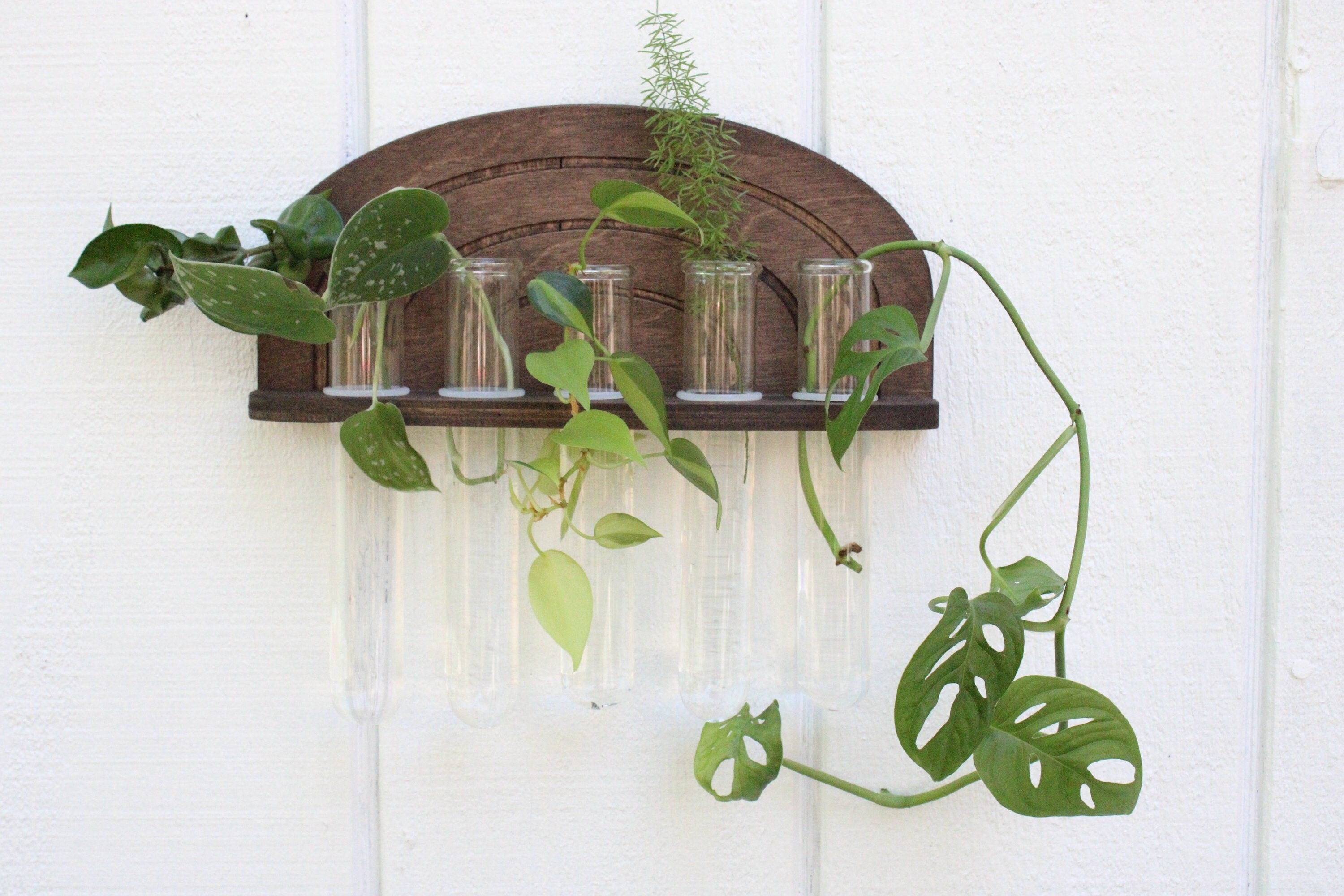 hanging plant propagation Rainbow Propagation Wall Hanging – Dunn Rustic