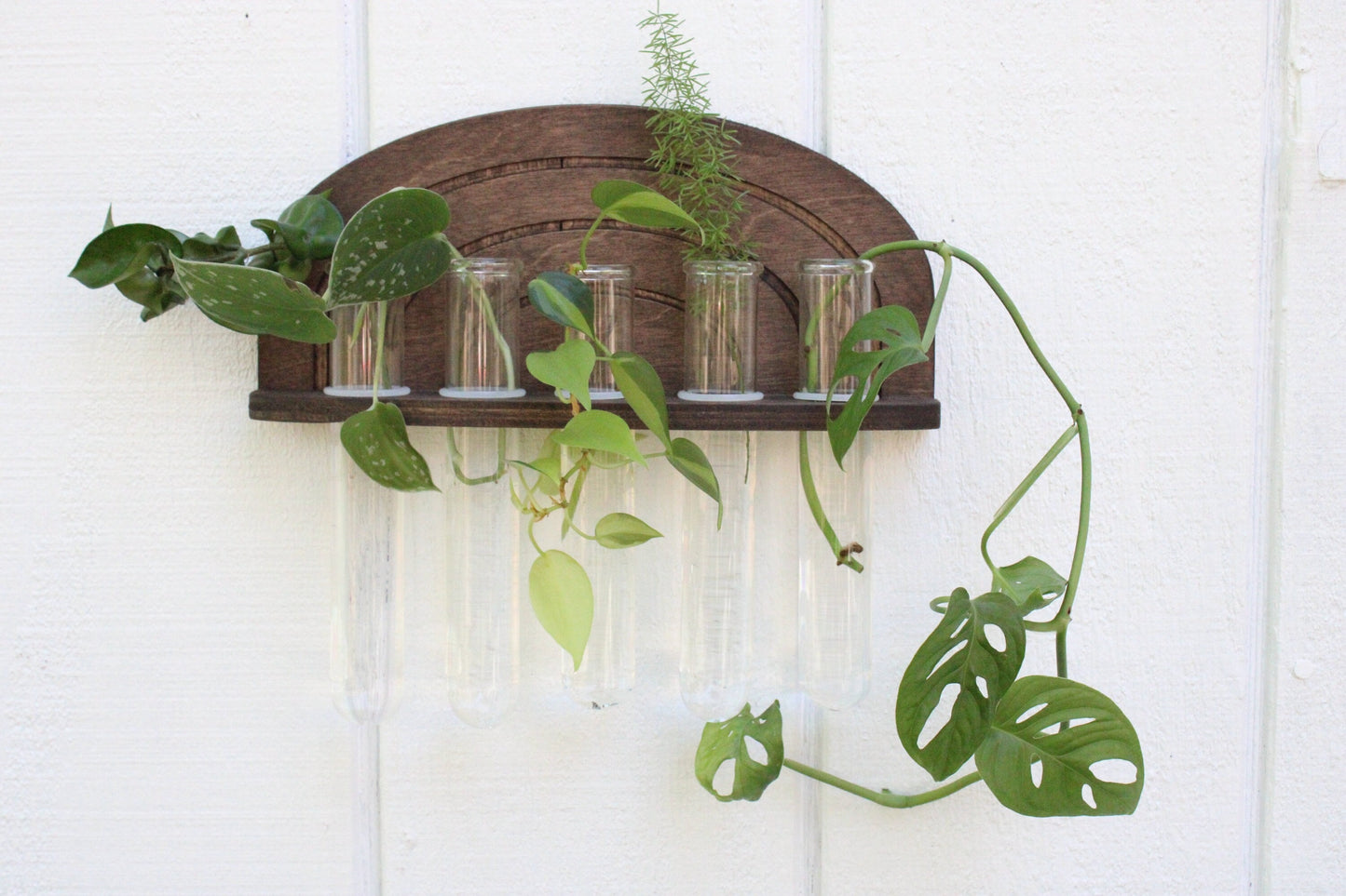 Rainbow Propagation Wall Hanging