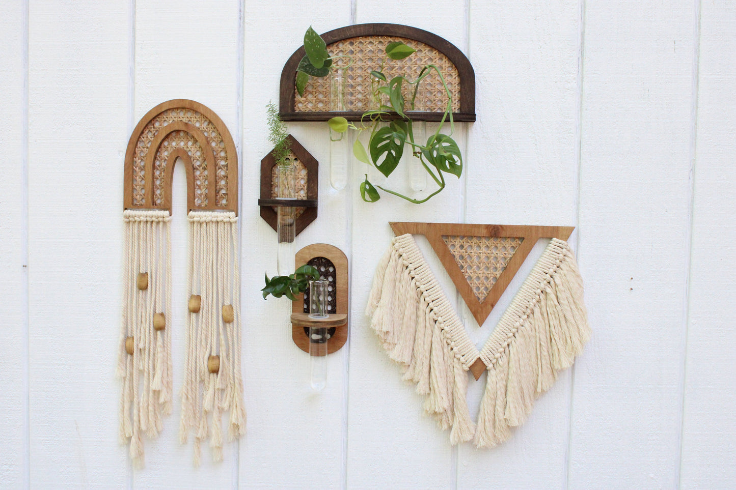 Rattan Propagation Wall Hanging