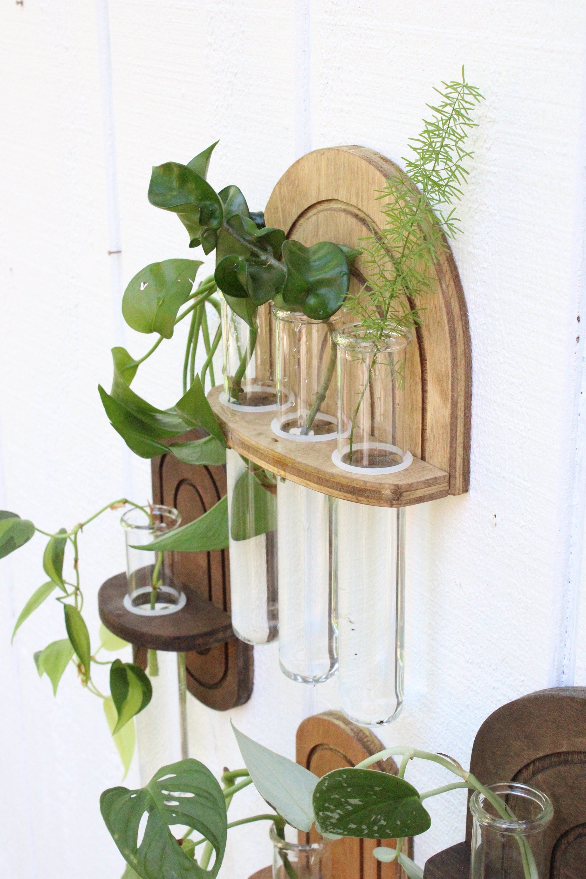 aqueduct for hanging plants Rainbow Propagation Wall Hanging – Dunn Rustic
