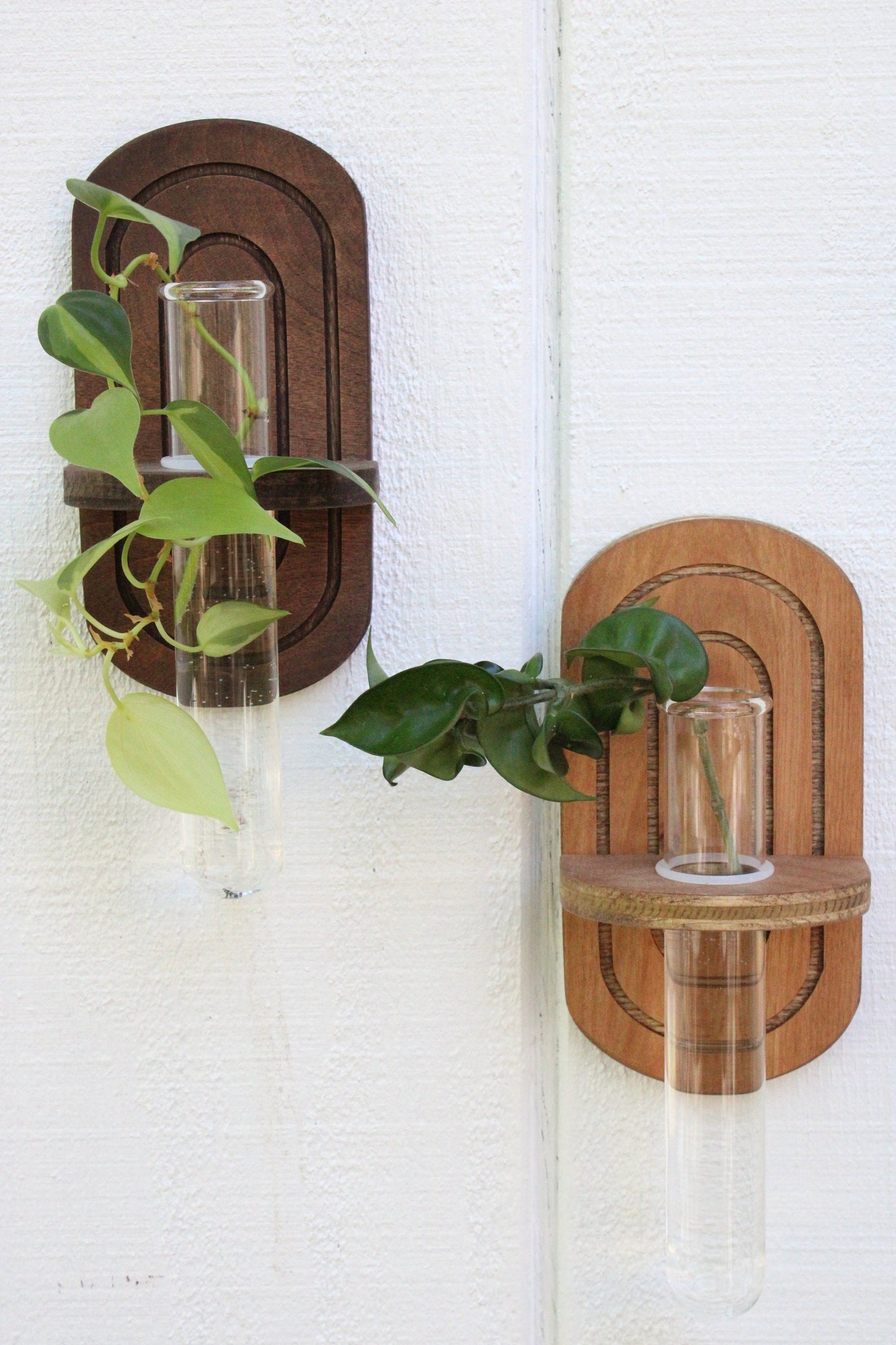 Rainbow Propagation Wall Hanging