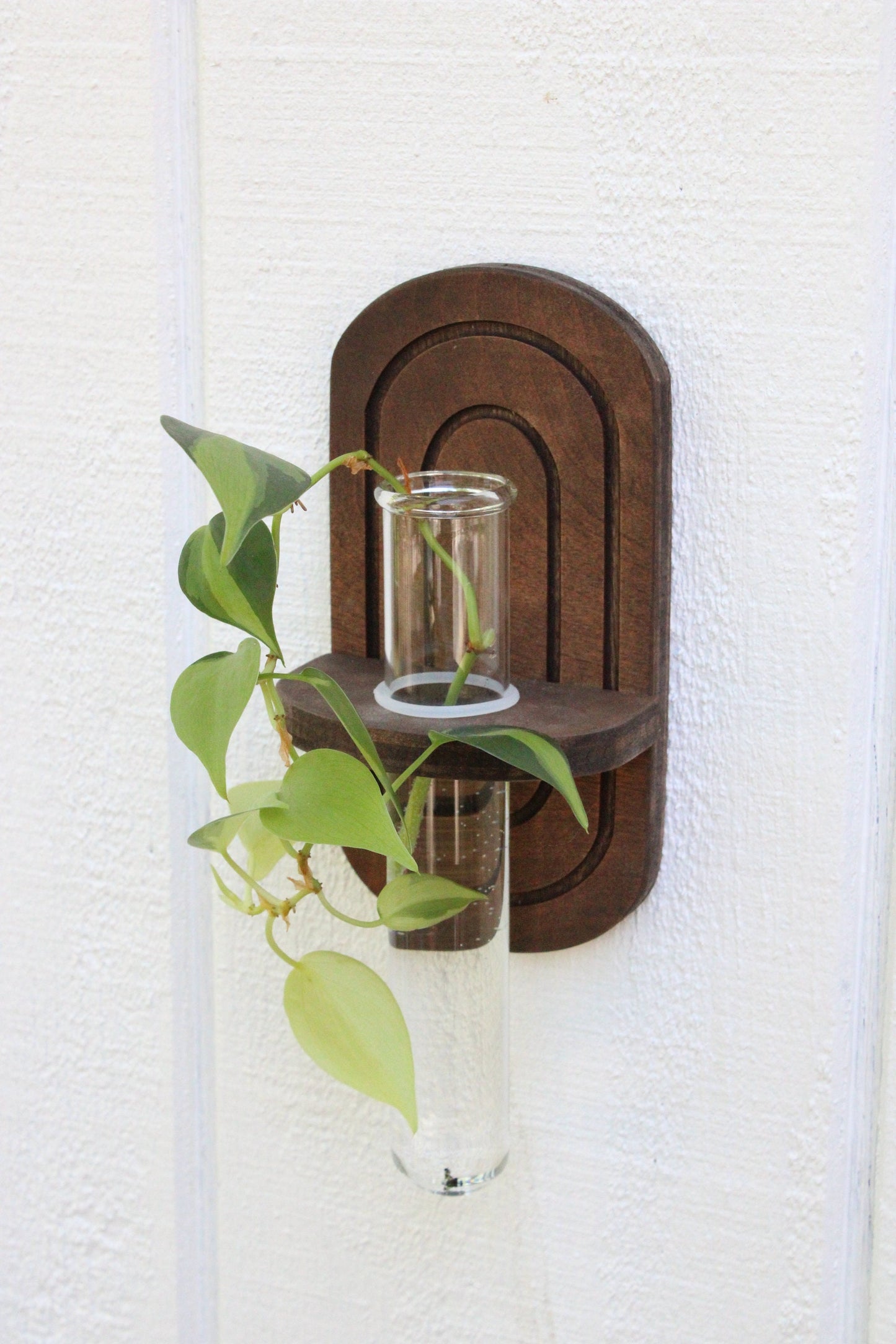 Rainbow Propagation Wall Hanging