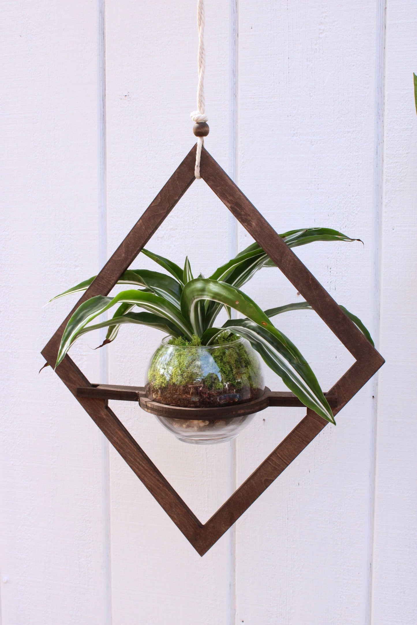 Wood Hanging Planter - Geometric Planter - Modern Boho Planter - Moss Planter - Hanging Pot - Indoor Plant Hanger