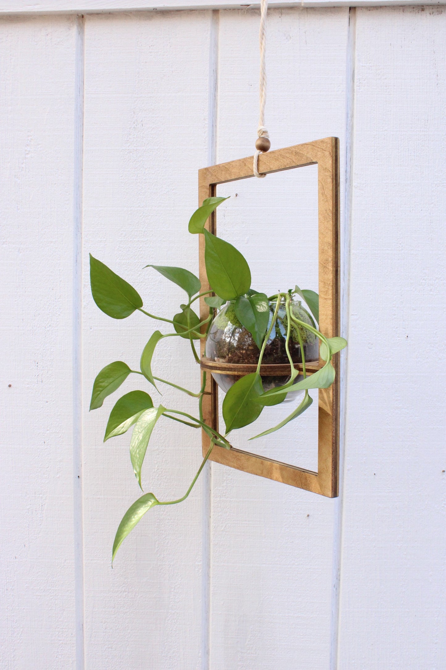 Wood Hanging Planter - Geometric Planter - Modern Boho Planter - Moss Planter - Hanging Pot - Indoor Plant Hanger