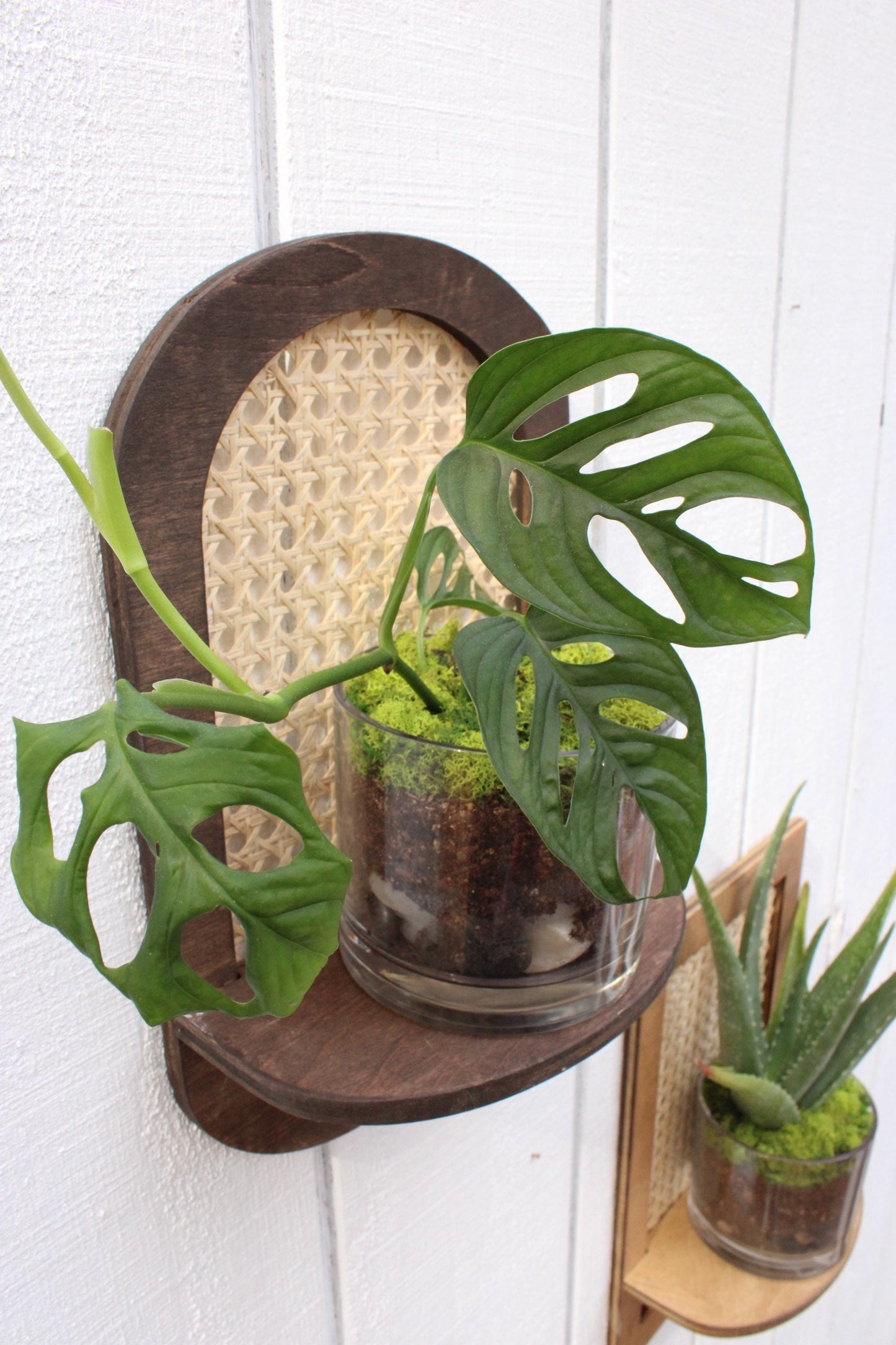 Rattan Plant Shelf - Cane Wall Planter - Rattan Sconce - Boho Rattan