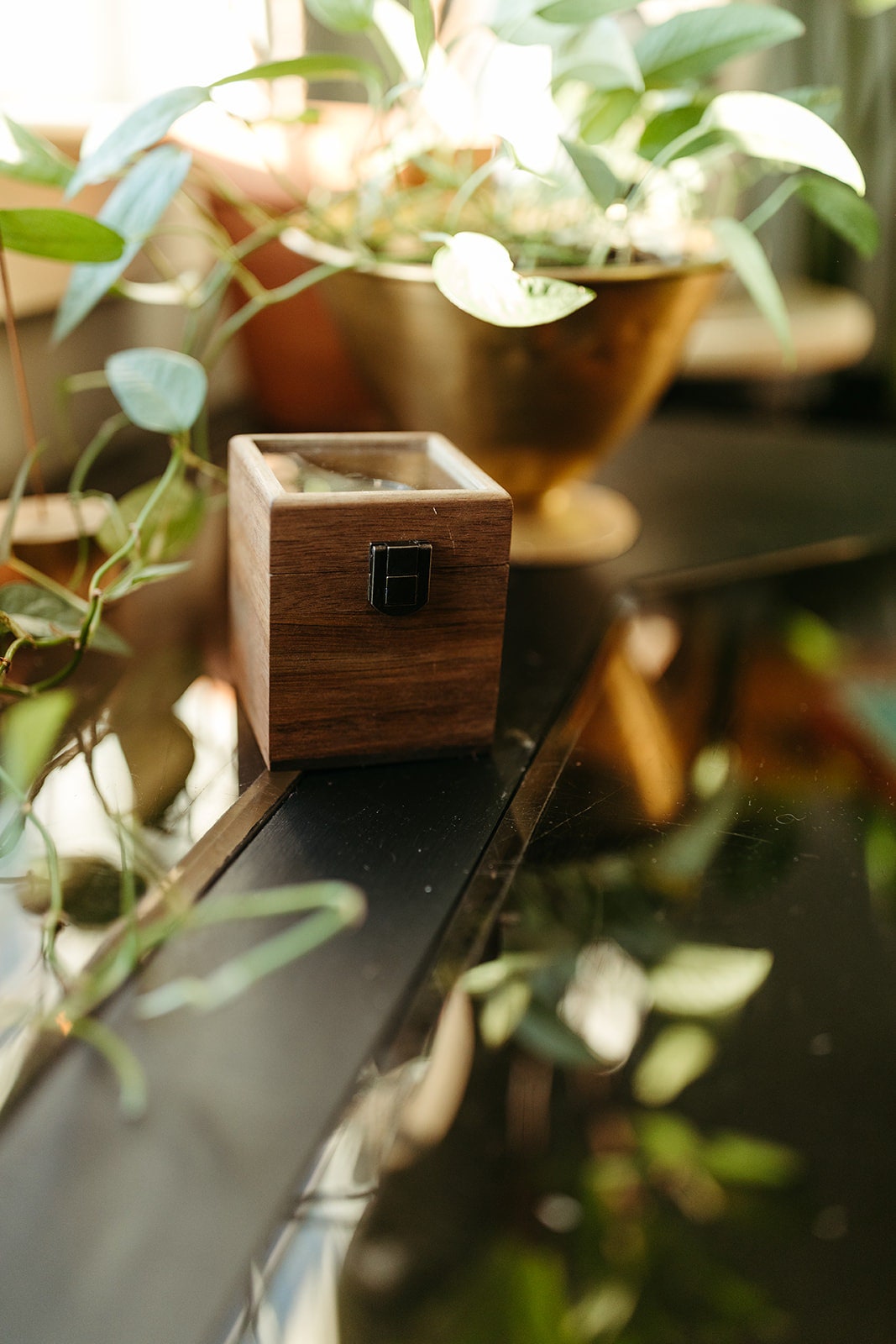 Acacia Glass Lid Watch Box - Single Compartment Watch Box - Watch Storage -Watch Organizer - Watch Gift Box - Custom Watch Box