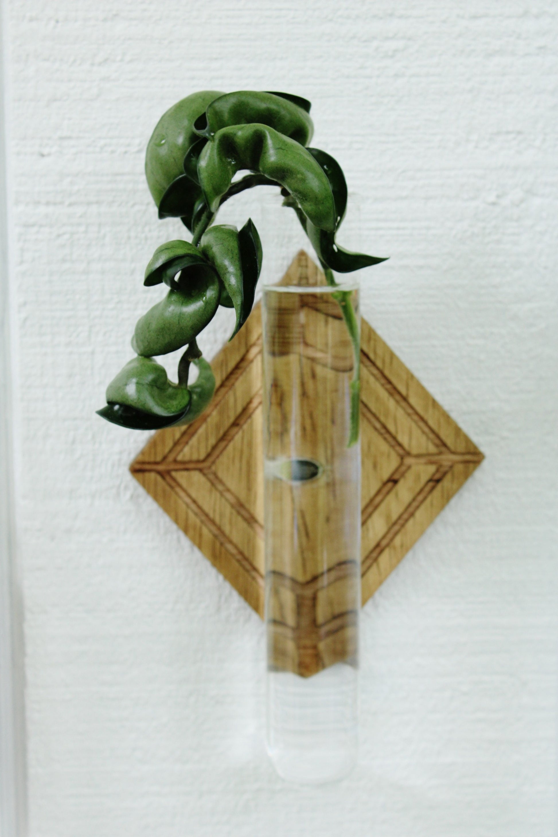 wall hanging test tube planter Magnetic Propagation Wall Hanging – Dunn Rustic