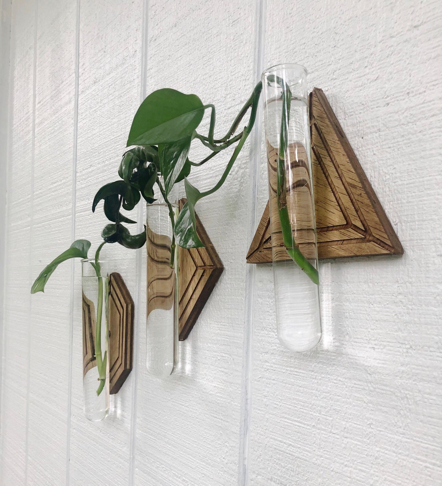 Magnetic Propagation Wall Hanging