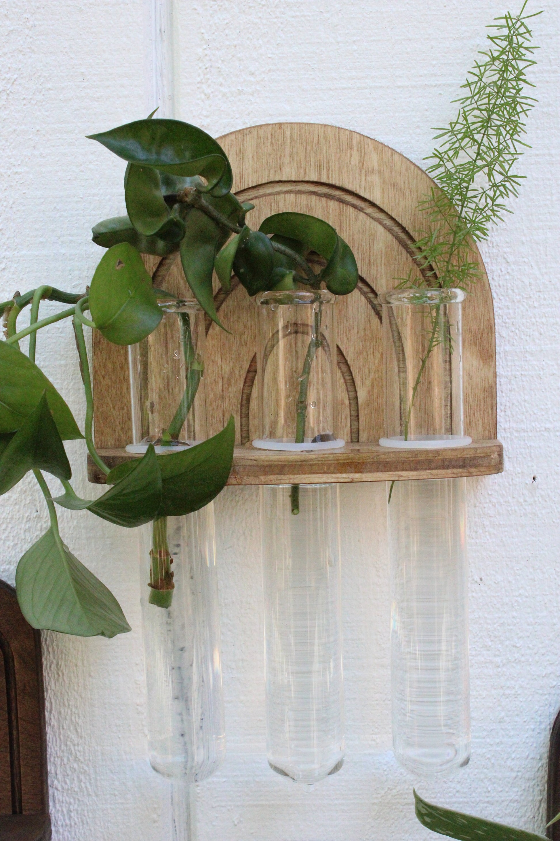 test tube hanging planter Rainbow Propagation Wall Hanging – Dunn Rustic