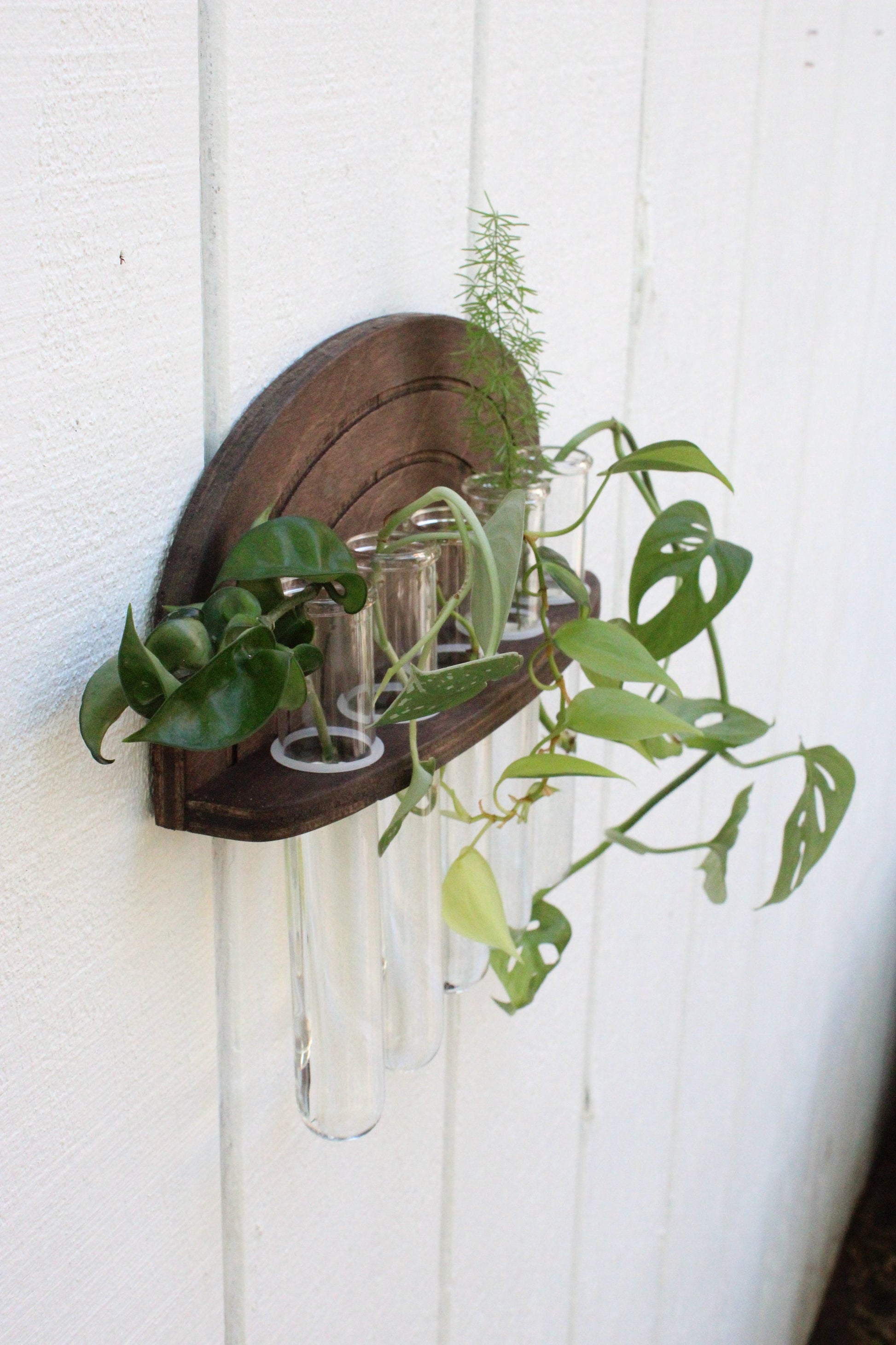 test tube hanging planter Rainbow Propagation Wall Hanging – Dunn Rustic
