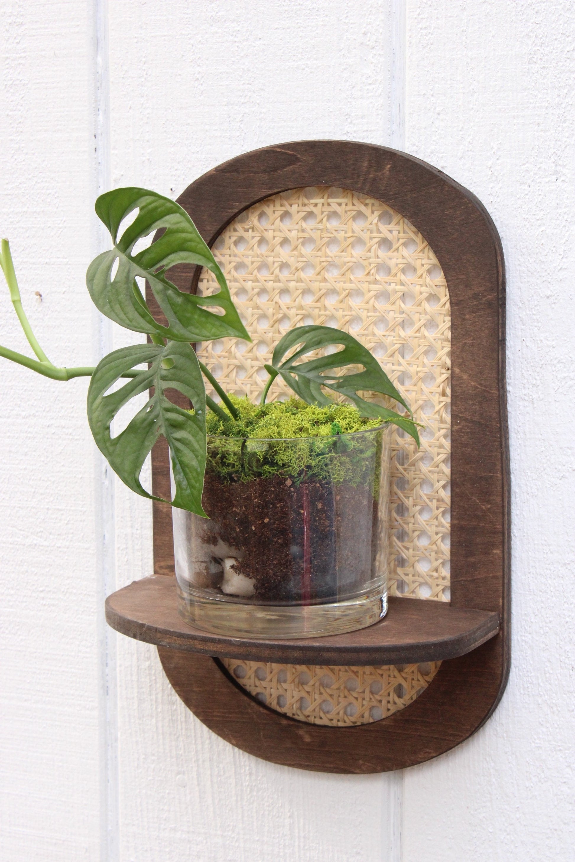 indoor wall sconce planter Rattan Plant Shelf - Cane Wall Planter - Rattan Sconce