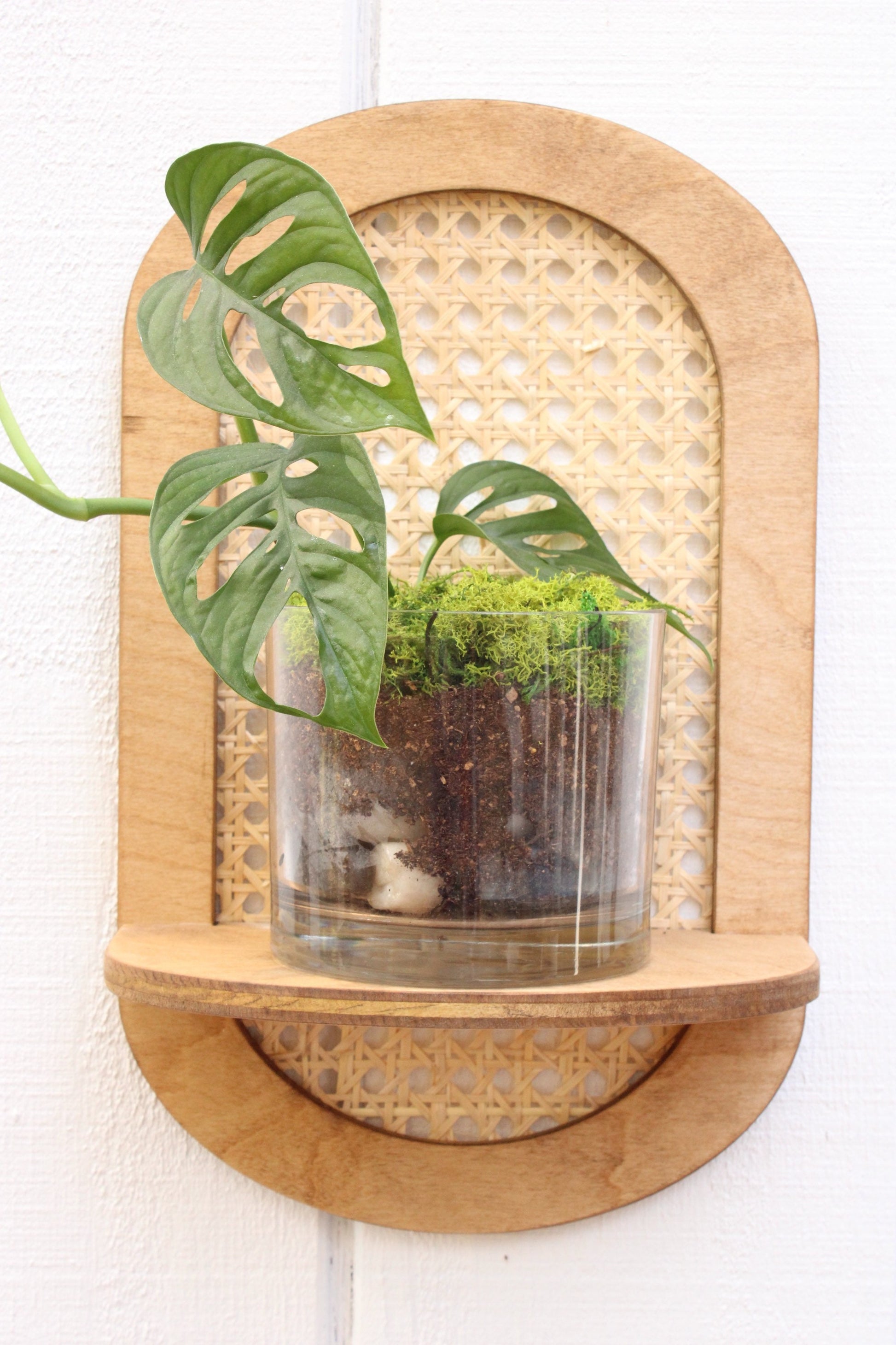 wall planter shelf indoor Rattan Plant Shelf - Cane Wall Planter - Rattan Sconce